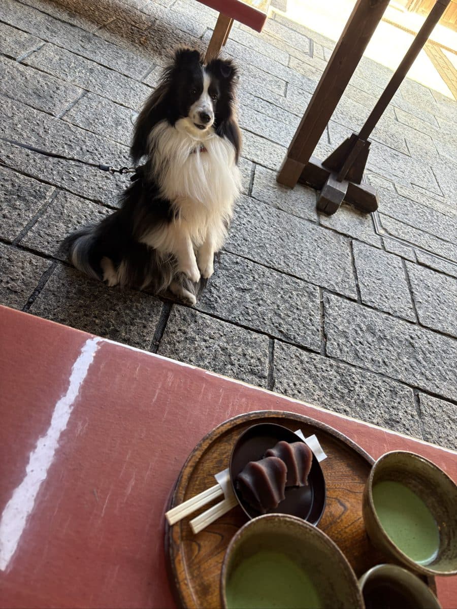 旅先の茶屋で、となりで待つ